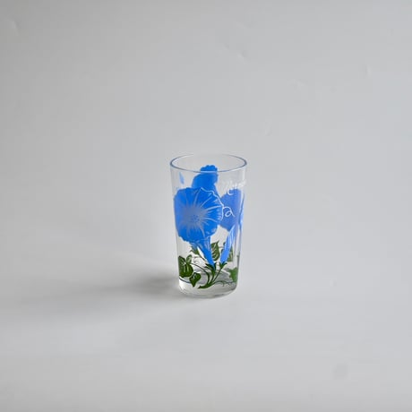 morningglory