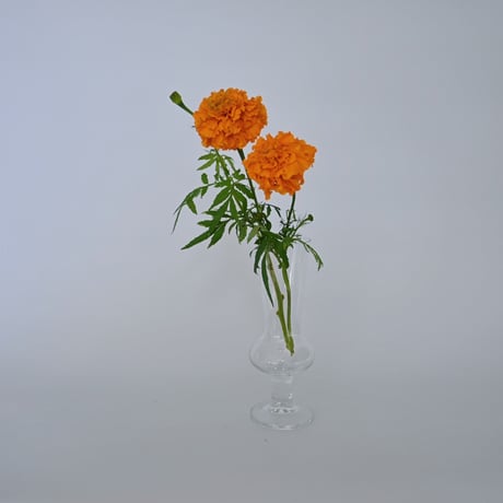 cantu