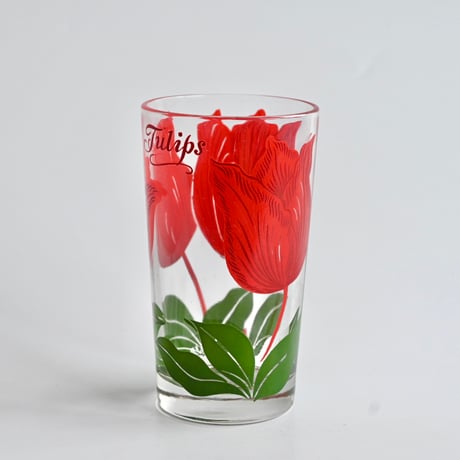 tulip