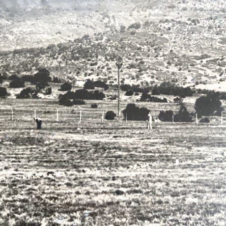 1921