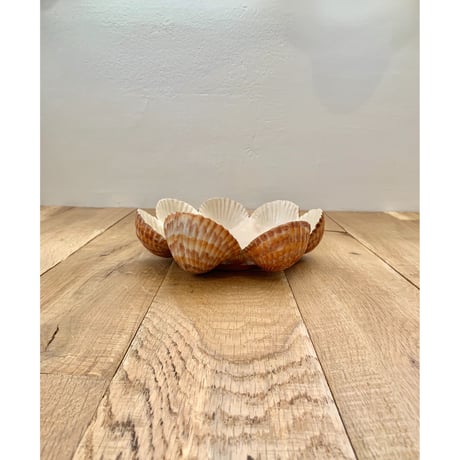shells