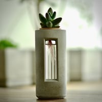 "PLUG - S20 - "   ハイドロカルチャー・水栽培容器／花瓶／Cement Flower Vase