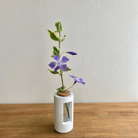 "PLUG - L20 - "    ハイドロカルチャー・水栽培容器／花瓶／Cement Flower Vase