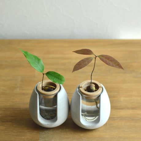 "POT-BELLY"  ハイドロカルチャー・水栽培容器・花瓶／cement flower vase