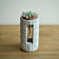 "PLUG - LW -"  ハイドロカルチャー・水栽培容器／花瓶／Cement Flower Vase