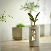 "PLUG - L20 - "    ハイドロカルチャー・水栽培容器／花瓶／Cement Flower Vase