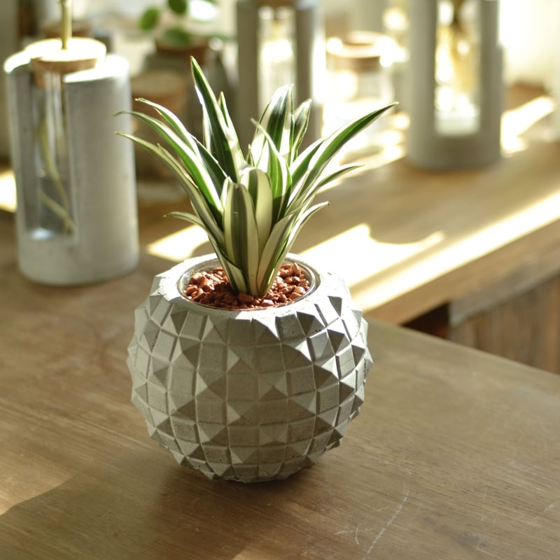 PINA-POT
