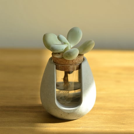 "POT-BELLY"  ハイドロカルチャー・水栽培容器・花瓶／cement flower vase