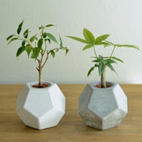 "PENTA-S" ハイドロカルチャー植木鉢 モルタルポット インテリア