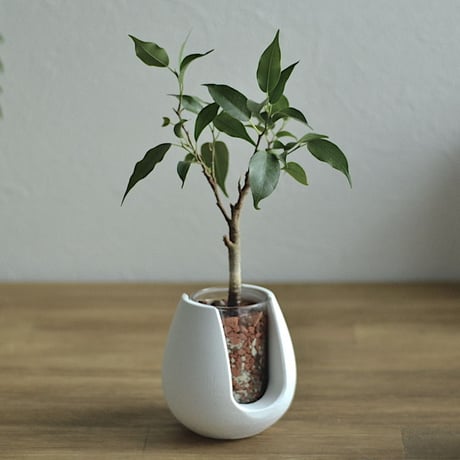 "POT-BELLY"  ハイドロカルチャー・水栽培容器・花瓶／cement flower vase