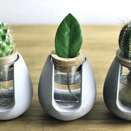 "POT-BELLY"  ハイドロカルチャー・水栽培容器・花瓶／cement flower vase