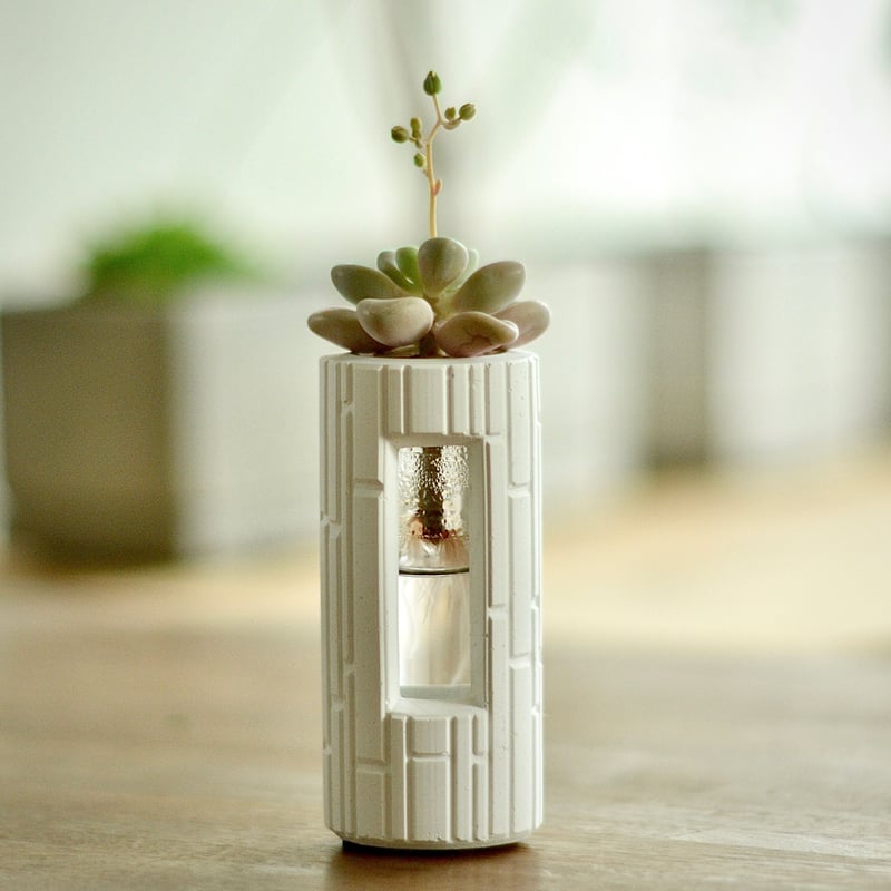 花瓶＊ PLUG - SW -