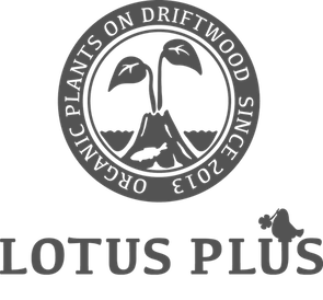 LOTUS PLUS