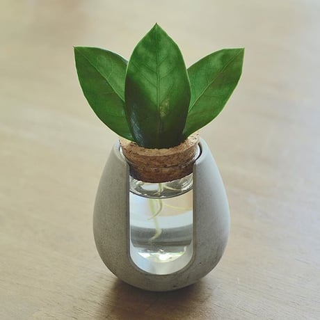 "POT-BELLY"  ハイドロカルチャー・水栽培容器・花瓶／cement flower vase
