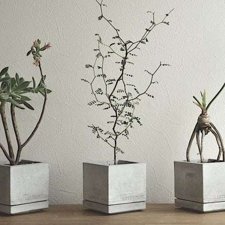 "STACK"     植木鉢・セメント鉢 ／  cement pot