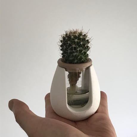 "POT-BELLY"  ハイドロカルチャー・水栽培容器・花瓶／cement flower vase