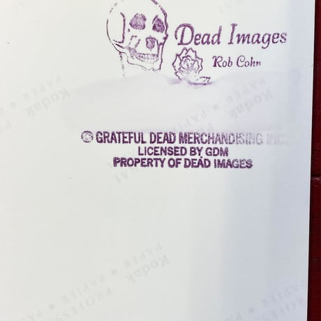 Grateful Dead - Shoreline Amphitheatre, Mountain View (05-23-1993) Photo Print