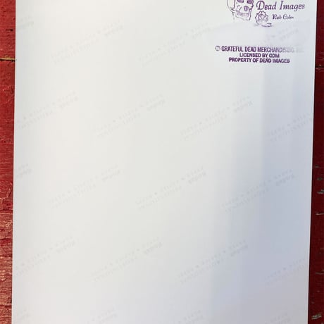 Grateful Dead - Shoreline Amphitheatre, Mountain View (05-23-1993) Photo Print