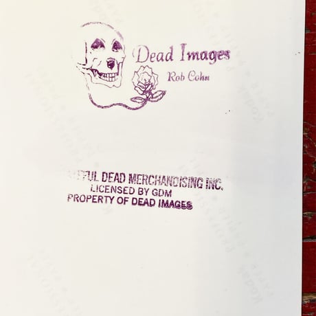 Grateful Dead - Giants Stadium, East Rutherford (06-19-1995) Photo Print