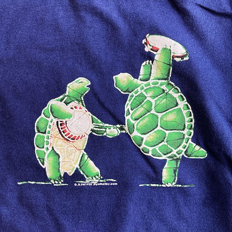グレイトフル デッド・テラピン タートルズ キッズ Tシャツ
