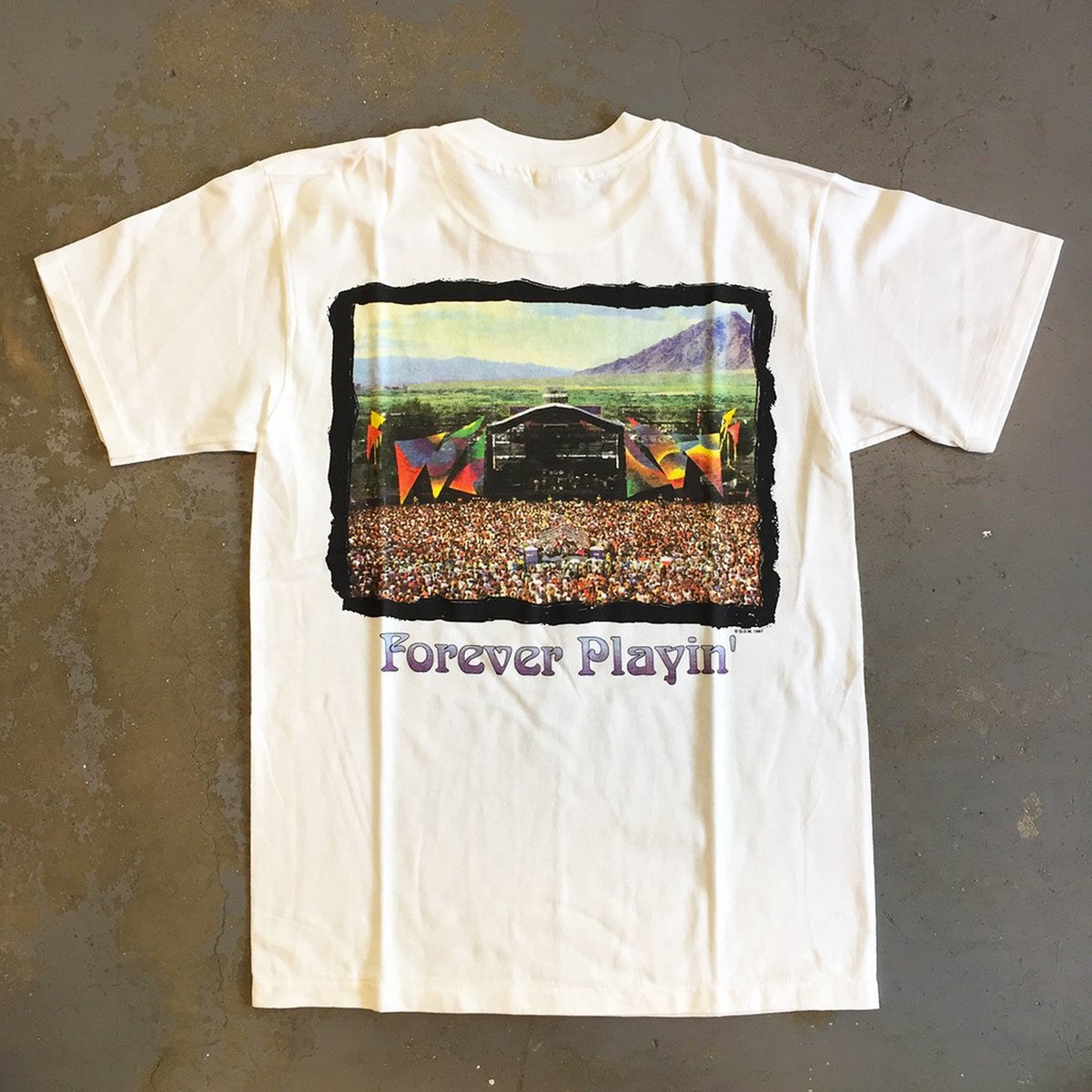 グレイトフル デッド・フォーエバー プレイン・フォーエバー