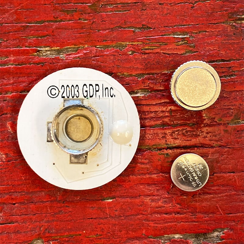 グレイトフルデッド　タートルライト SLY | Grateful Dead x SLY SW トップス (スウェット・パーカー