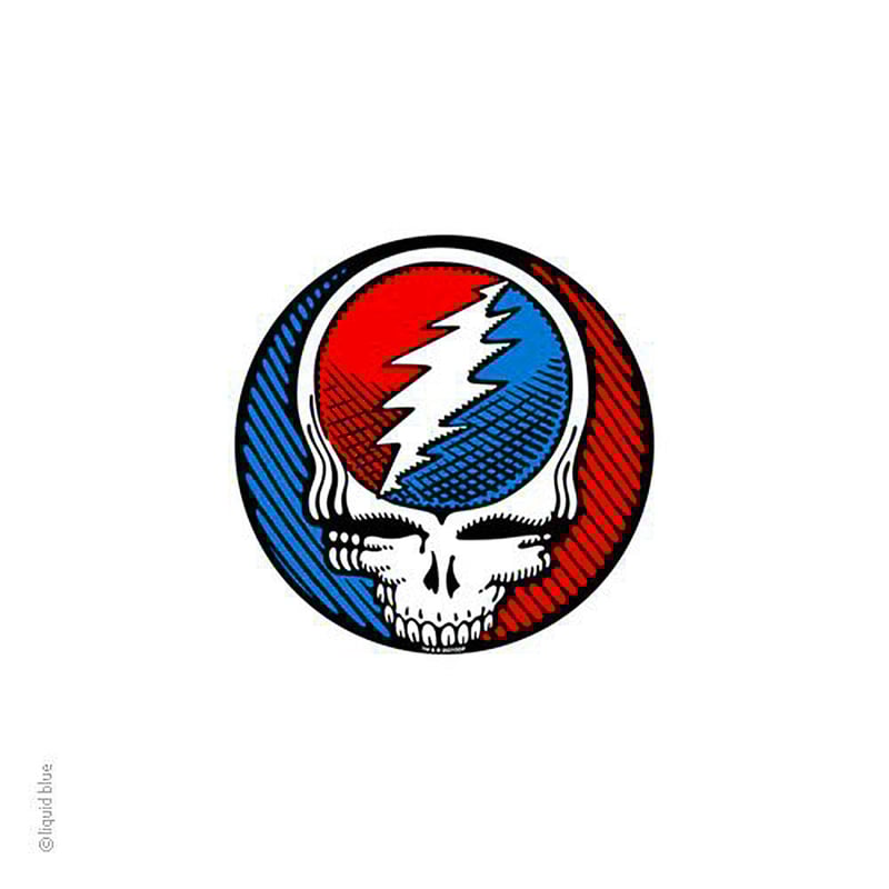 Ｓｔｅａｌ　Ｙｏｕｒ　Ｆａｃｅ/vol.2 グレイトフル・デッド　入手困難 Grateful Dead / Steal Your Face - Guitar Records