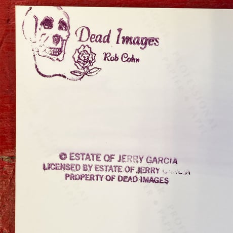 Grateful Dead - Oakland Coliseum Arena, Oakland (02-26-1995) Photo Print