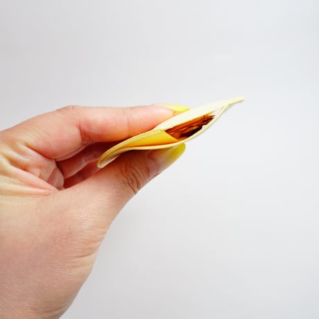 アクセサリー用保護ポーチ