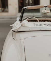 お客様専用 / お急ぎ便