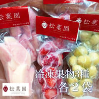 冷凍果物3種120g　6個セット
