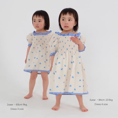 swan dress