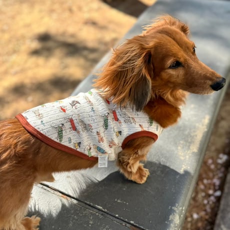 DOG wear【Dog】