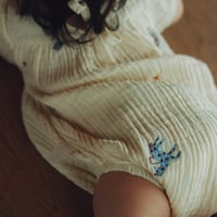 Pegasus rompers