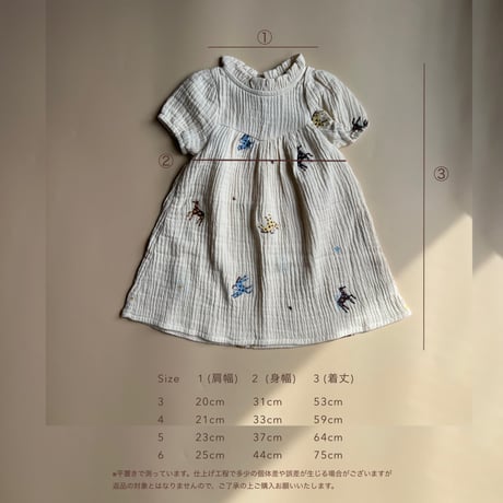 Pegasus dress