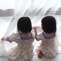 swan dress