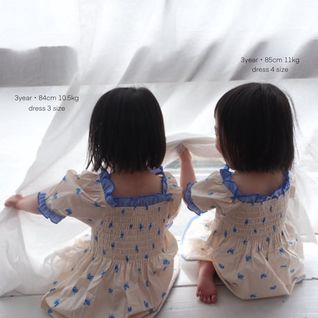 swan dress
