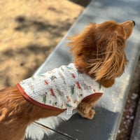 DOG wear【Dog】
