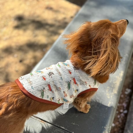 DOG wear【Dog】