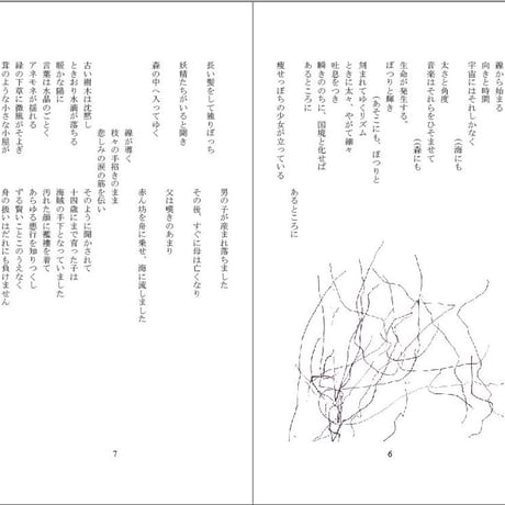 小原眞紀子詩集『メアリアンとマックイン』