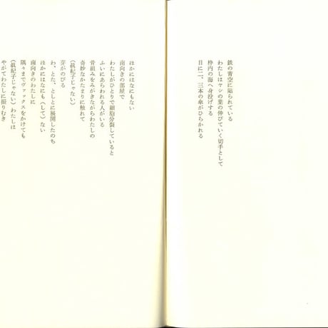小原眞紀子詩集『湿気に関する私信』