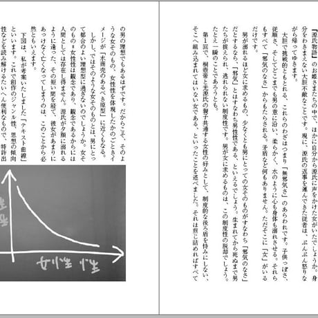 小原眞紀子 評論集『文学とセクシュアリティ－現代に読む『源氏物語』』