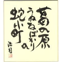 安井浩司 俳句墨書色紙『葛の原うねるばかりの蛇小町』（『空なる芭蕉』）