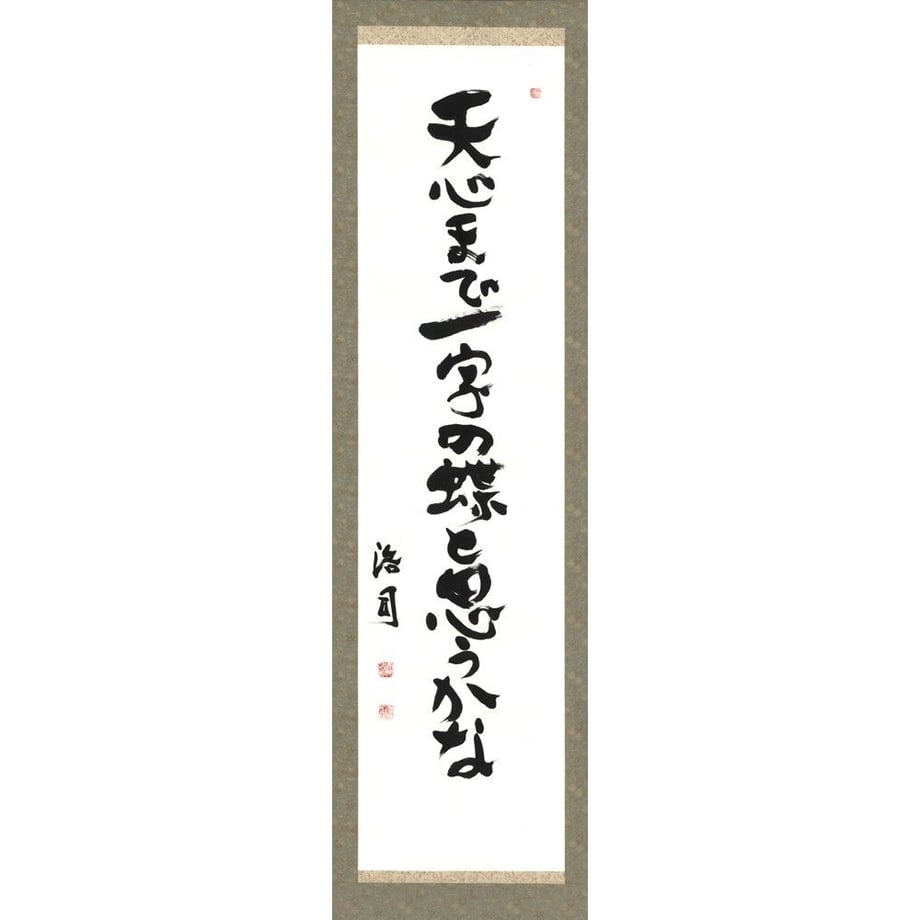 5c008b652a28623d756d5502