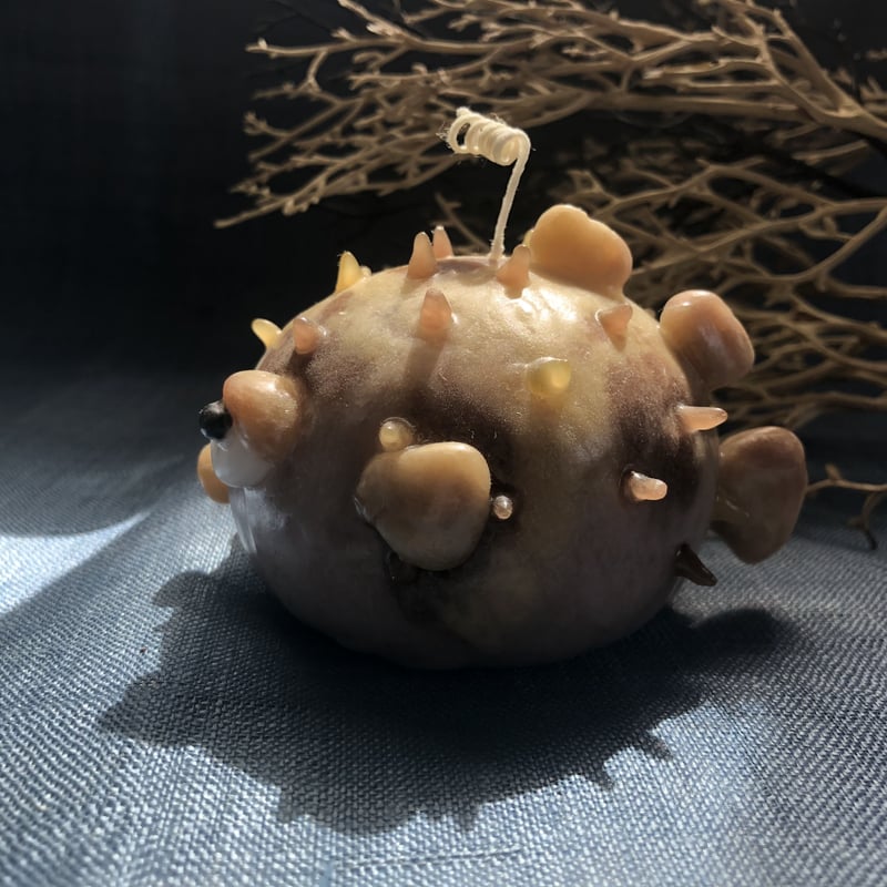 海の生き物探し（ハリセンボン） | キャンドル工房花逍遥