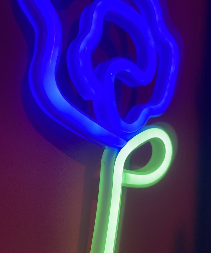 ネオン管　薔薇 Amazon | LED ネオンサイン バラ 薔薇 USB電源 ネオンライト ネオン管