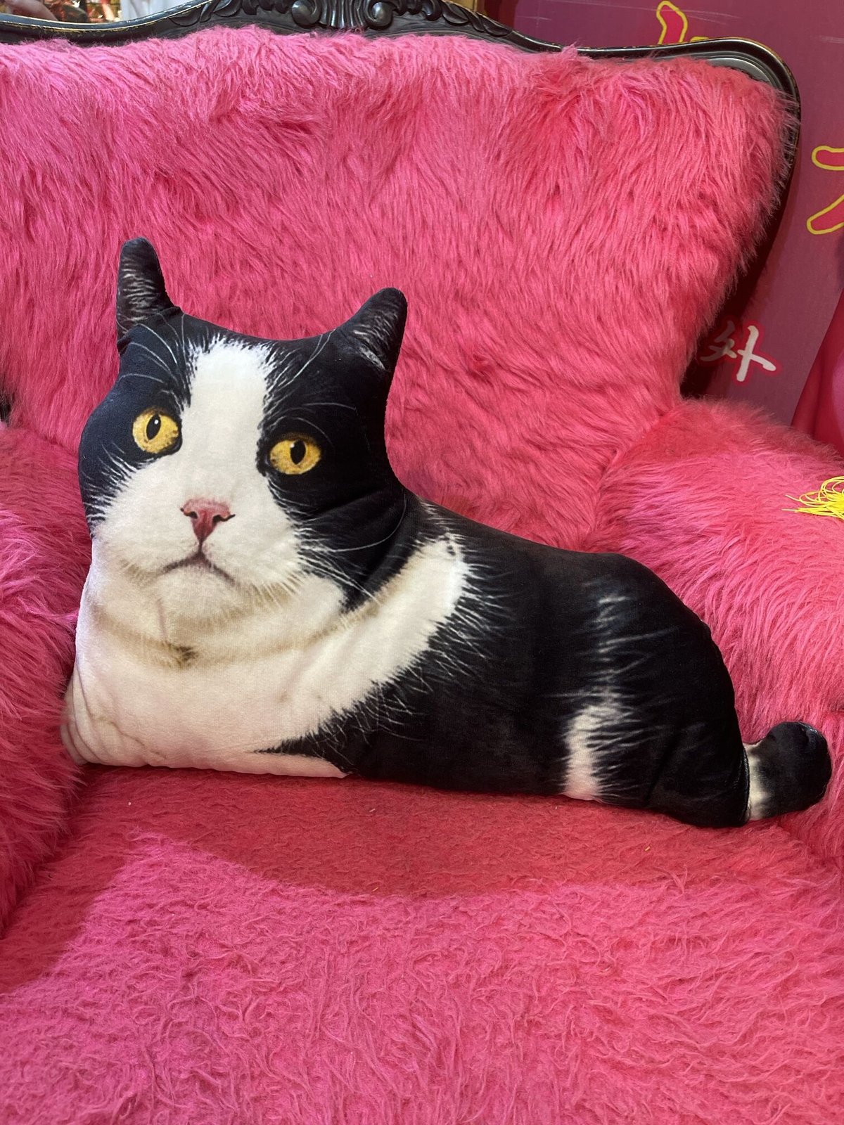 リアル猫型 クッション【猫展】 | GUGU