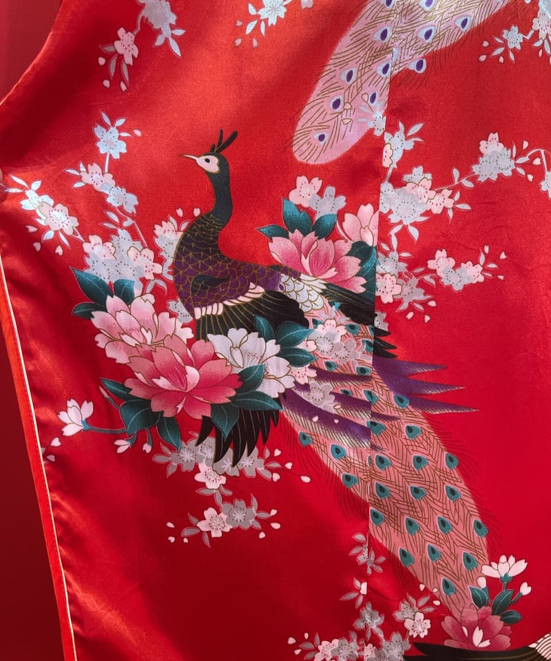 孔雀柄シースルーブラウス 孔雀柄シースルーブラウス