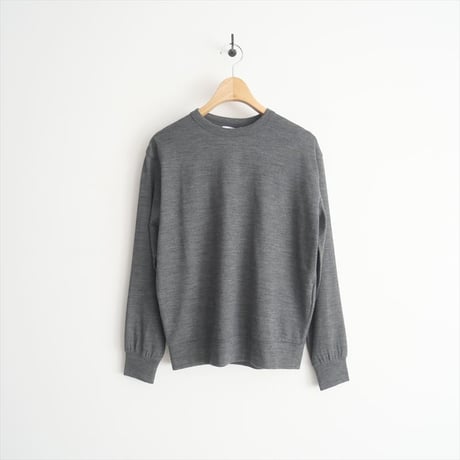 2024AW / 未使用 / Demi-Luxe BEAMS購入品 / SLOANE / ウール 天竺 クルーネック ニットTシャツ / 64-14-0086 / 2501-0573