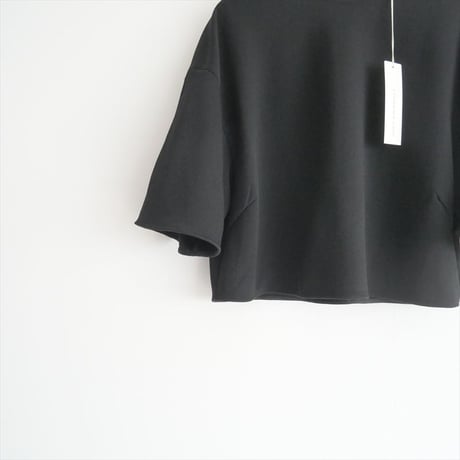 2023 / 未使用 / STUNNING LURE / クロップドハーフTシャツ / 112580112300 / 2309-1606